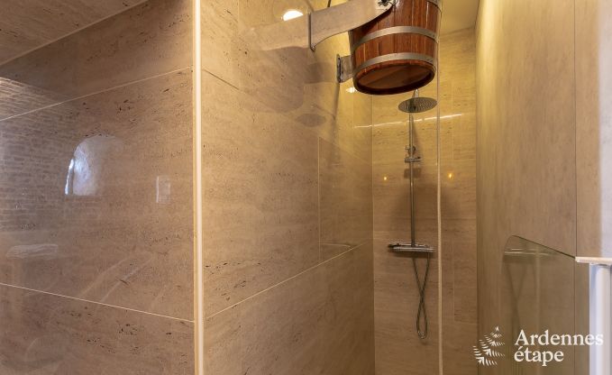 Castle in Gesves for 40 persons in the Ardennes