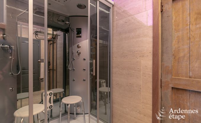 Castle in Gesves for 40 persons in the Ardennes