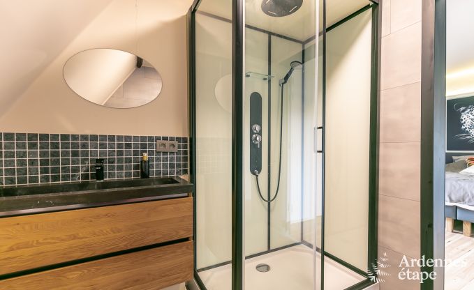 Castle in Gesves for 40 persons in the Ardennes