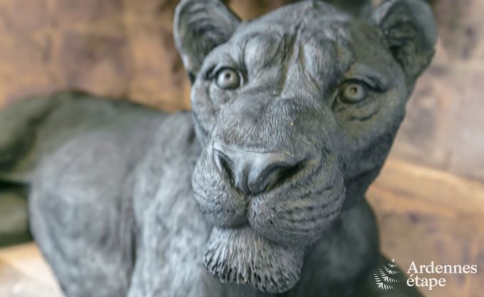 Castle in Gesves for 40 persons in the Ardennes