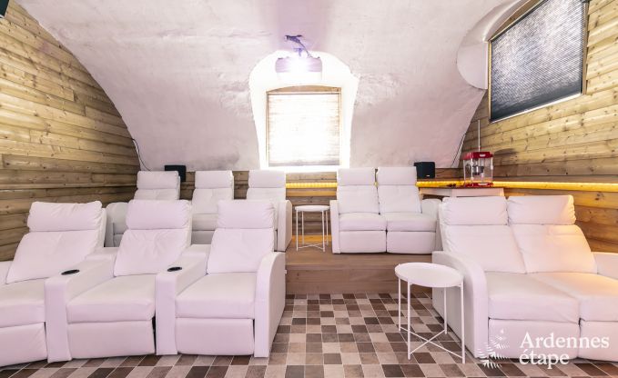 Castle in Gesves for 40 persons in the Ardennes