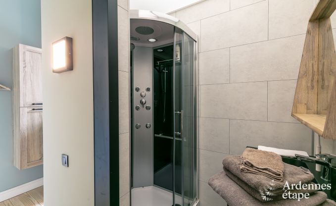 Castle in Gesves for 40 persons in the Ardennes