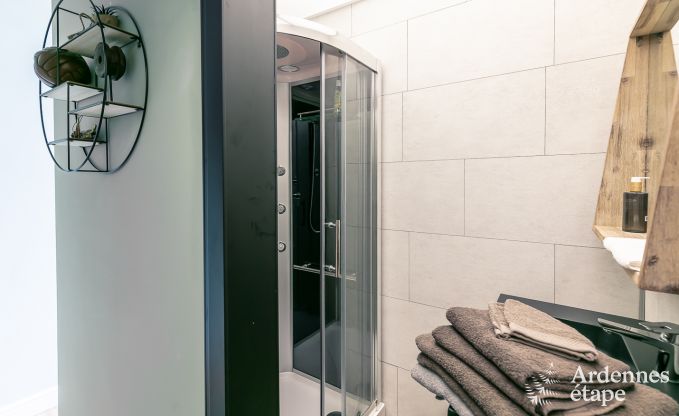 Castle in Gesves for 40 persons in the Ardennes