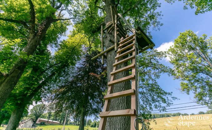 Castle in Gesves for 40 persons in the Ardennes