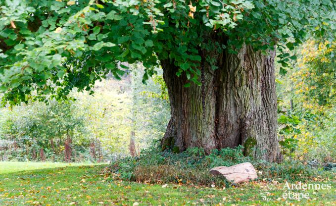 Holiday cottage in Gesves for 8/9 persons in the Ardennes