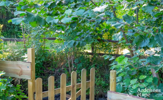 Comfortable and spacious holiday home in Gouvy, Ardennes.