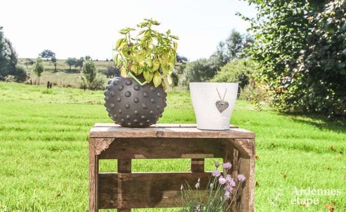 Holiday cottage in Habay for 9 persons in the Ardennes