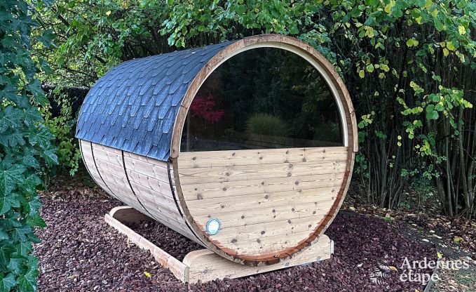 Spacious holiday home for 12 people with swimming pool and private garden in Hamois, Ardennes