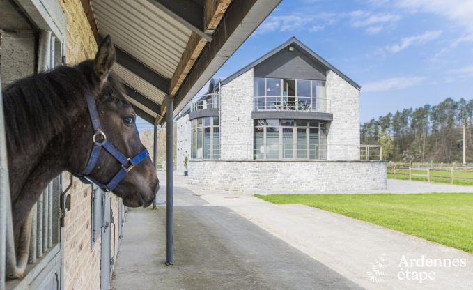 Spacious holiday home consisting of two adjoining buildings in Han-sur-Lesse for 13 people with indoor swimming pool