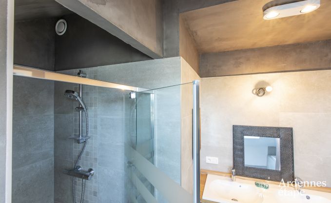 Holiday cottage in Han-sur-Lesse for 9 persons in the Ardennes