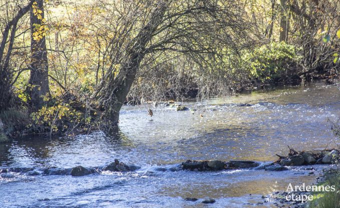 Holiday cottage in Han-sur-Lesse for 9 persons in the Ardennes