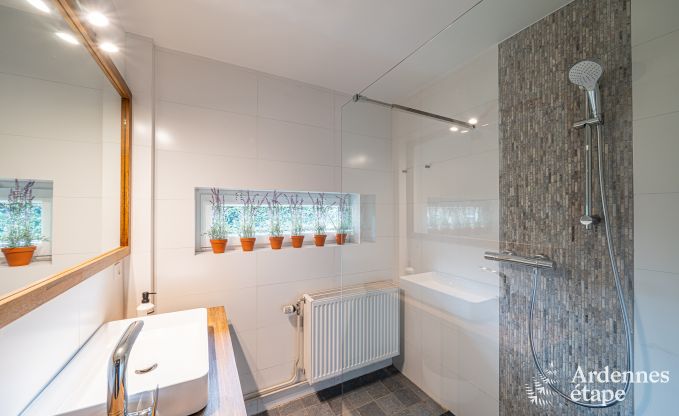 Cozy holiday home in Han-sur-Lesse for 8 people with sauna and garden near the Caves of Han