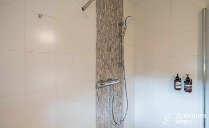 Cozy holiday home in Han-sur-Lesse for 8 people with sauna and garden near the Caves of Han