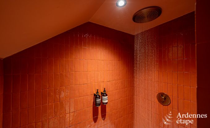 Cozy holiday home in Han-sur-Lesse for 8 people with sauna and garden near the Caves of Han