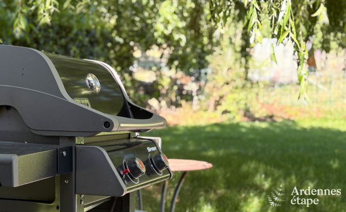 Cozy holiday home in Han-sur-Lesse for 8 people with sauna and garden near the Caves of Han