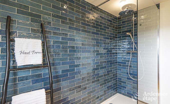 Luxury villa in Herbeumont for 20 persons in the Ardennes