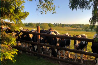 Holiday cottage in Herve for 6 persons in the Ardennes