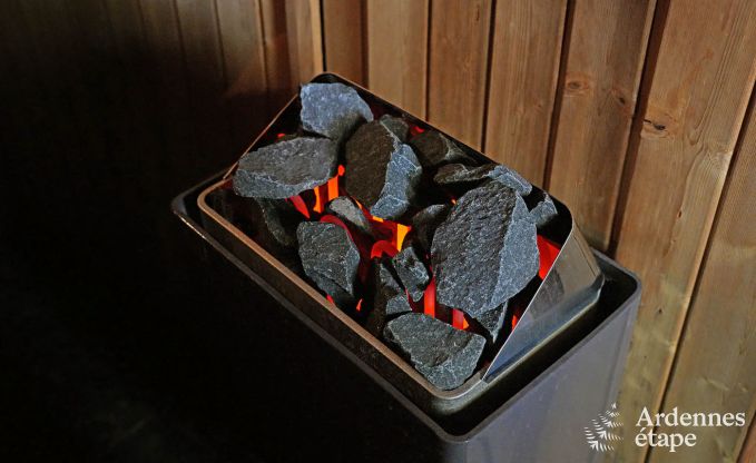 Castle in Hockai for 20 persons in the Ardennes