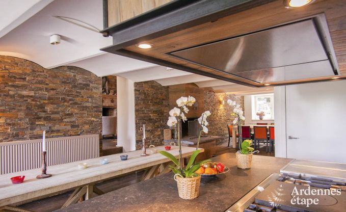Deluxe holiday home for 38 people in Hockai in the Ardennes