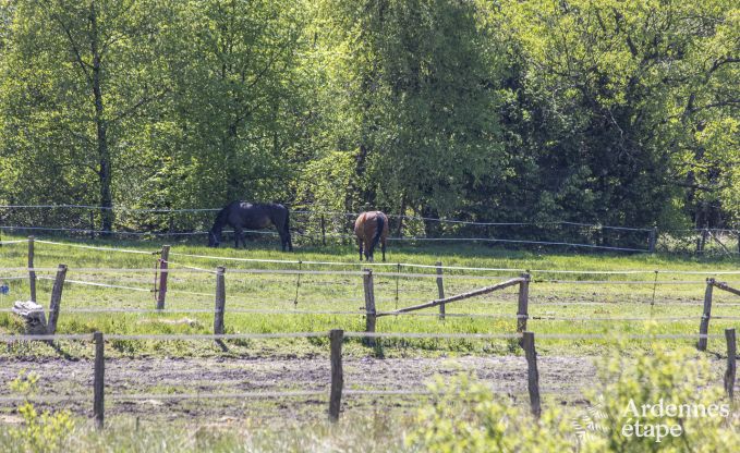 Luxury villa in Hockai for 14 persons in the Ardennes