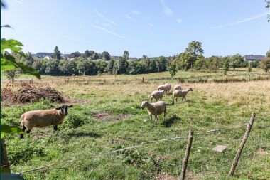 Holiday cottage in Houffalize for 16 persons in the Ardennes