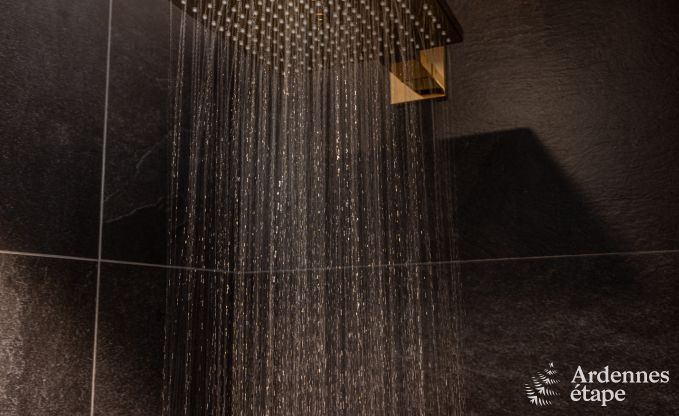 Luxury villa in Houffalize for 10/12 persons in the Ardennes