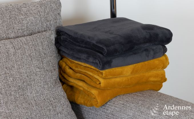 Luxury villa in Houffalize for 10/12 persons in the Ardennes