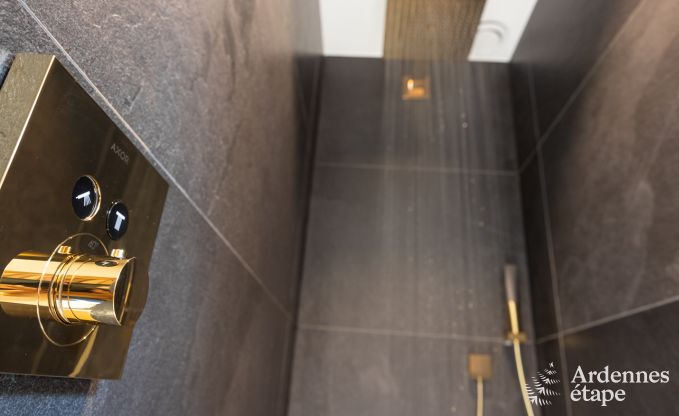 Luxury villa in Houffalize for 10/12 persons in the Ardennes