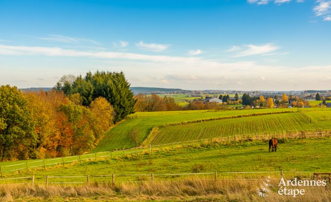 Luxury villa in Houffalize: accommodation for 22 people with pool, sauna, and garden in the Ardennes