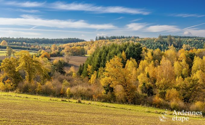 Luxury villa in Houffalize: accommodation for 22 people with pool, sauna, and garden in the Ardennes