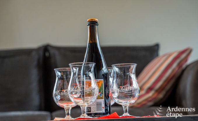 Luxury villa in Houffalize: accommodation for 22 people with pool, sauna, and garden in the Ardennes