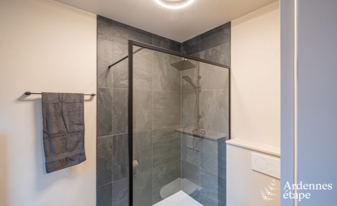 Luxury villa in Houffalize: accommodation for 22 people with pool, sauna, and garden in the Ardennes