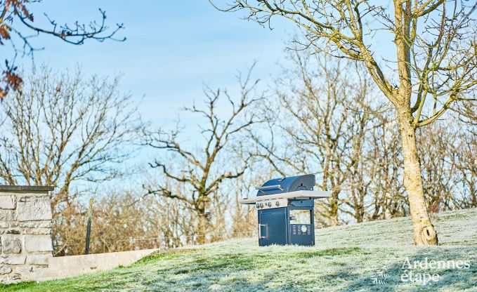 Cosy holiday home in Houyet: absolute calm for 4 people with a view of the Ardenne