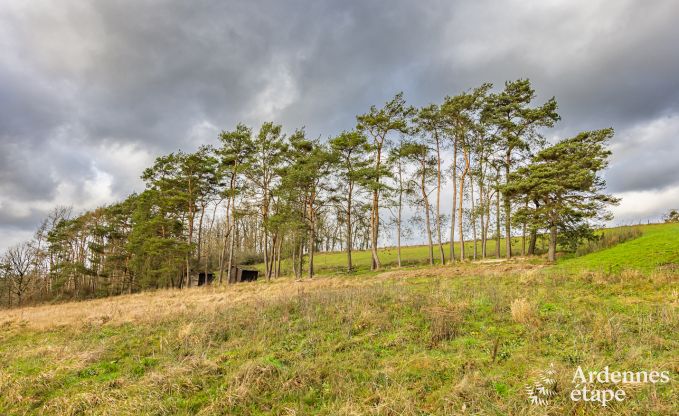 Remote holiday home with swimming pool in Houyet, Ardennes