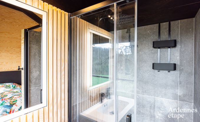 Remote holiday home with swimming pool in Houyet, Ardennes