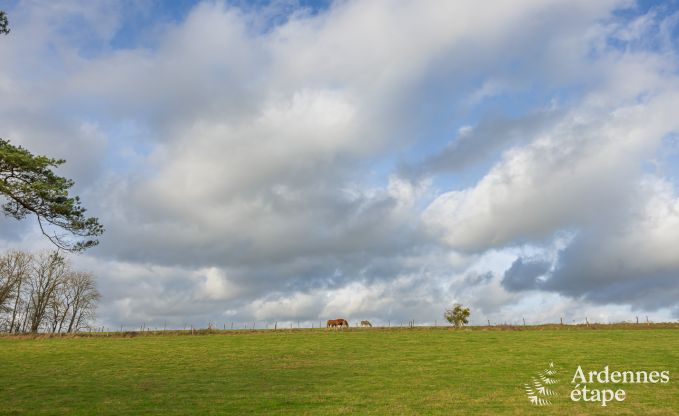 Remote holiday home with swimming pool in Houyet, Ardennes