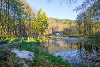 Luxury villa in Jalhay (Spa) for 8/9 persons in the Ardennes