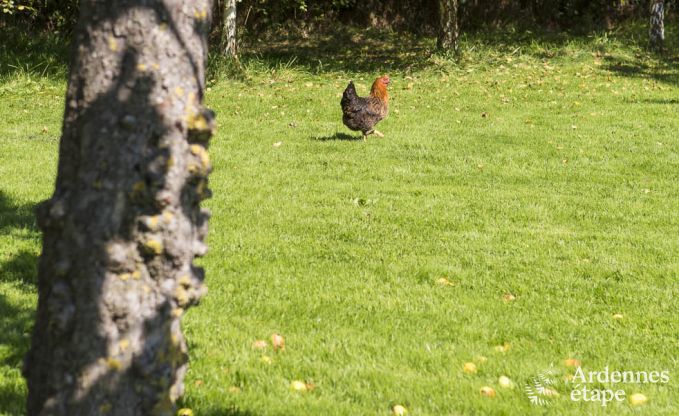 Holiday cottage in Jalhay for 6 persons in the Ardennes