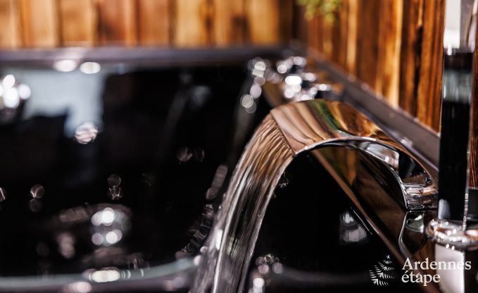 Luxury villa in Jalhay for 12/14 persons in the Ardennes