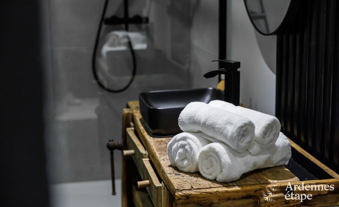 Luxury villa in Jalhay for 12/14 persons in the Ardennes