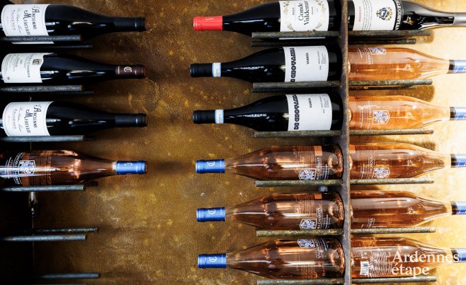 Luxury villa in Jalhay for 12/14 persons in the Ardennes