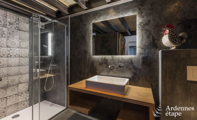 Luxury villa in Jalhay for 14/15 persons in the Ardennes