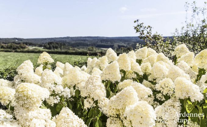 Luxury villa in Jalhay for 14/15 persons in the Ardennes