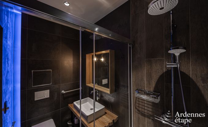 Luxury villa in Jalhay for 14 persons in the Ardennes