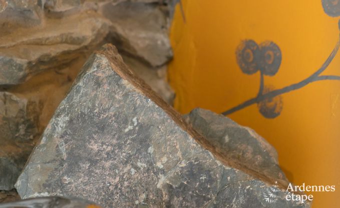 Holiday home in J�honville for 6 people in the Ardennes