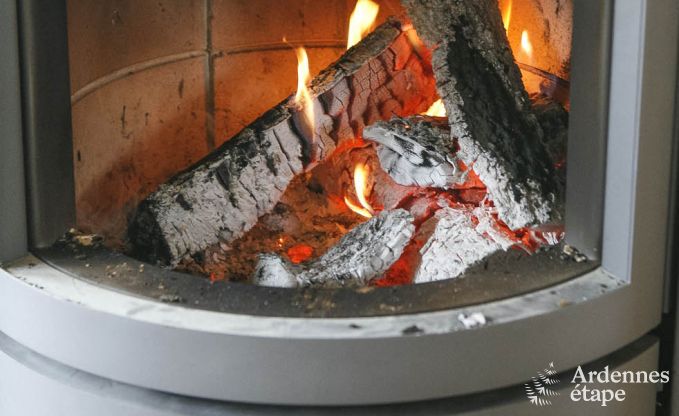 Pleasant and authentic holiday cottage with a wood stove in  La Roche-en-Ardenne