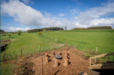 Dog-friendly chalet in La Roche-en-Ardenne, ideal for families