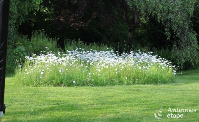 Holiday cottage in La Roche-En-Ardenne for 2 persons in the Ardennes