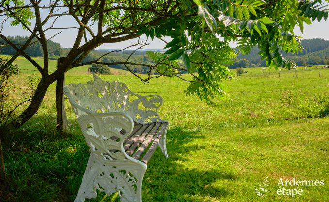 Modern holiday home in La-Roche-en-Ardenne with garden and terrace