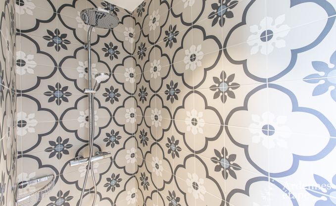 Luxury villa for 15 persons in Rendeux in the Ardennes